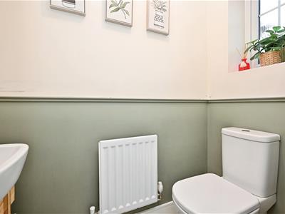 Picture 15